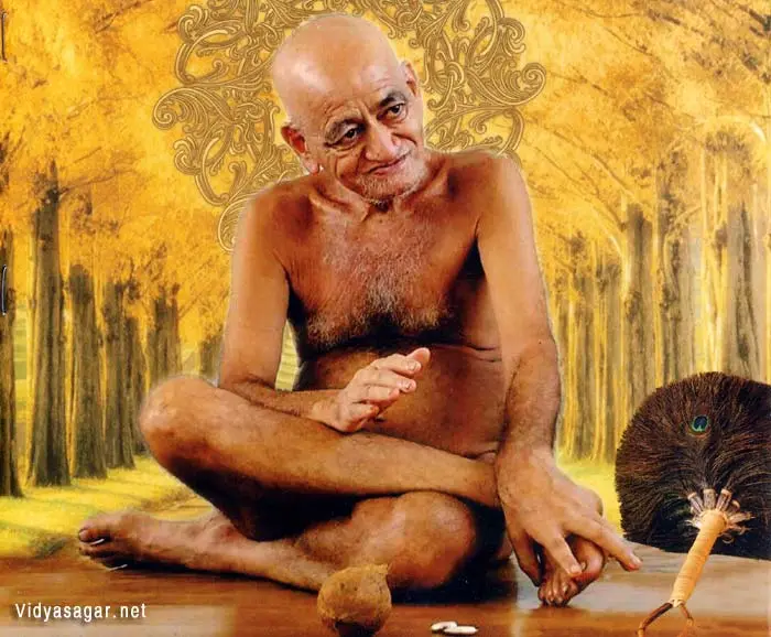 Vidyasagar1